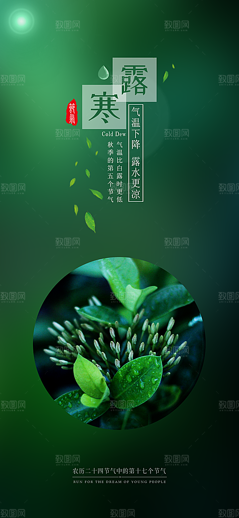 中国传统节日寒露二十四节气宣传海报