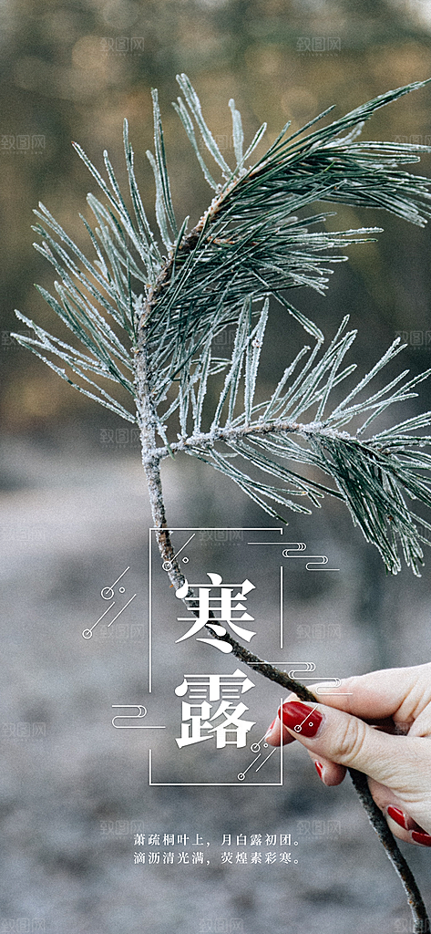 中国传统节日寒露二十四节气宣传海报