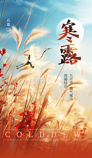 传统节气寒露海报模板