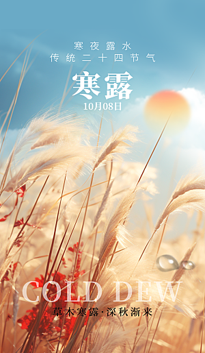 传统节气寒露海报模板