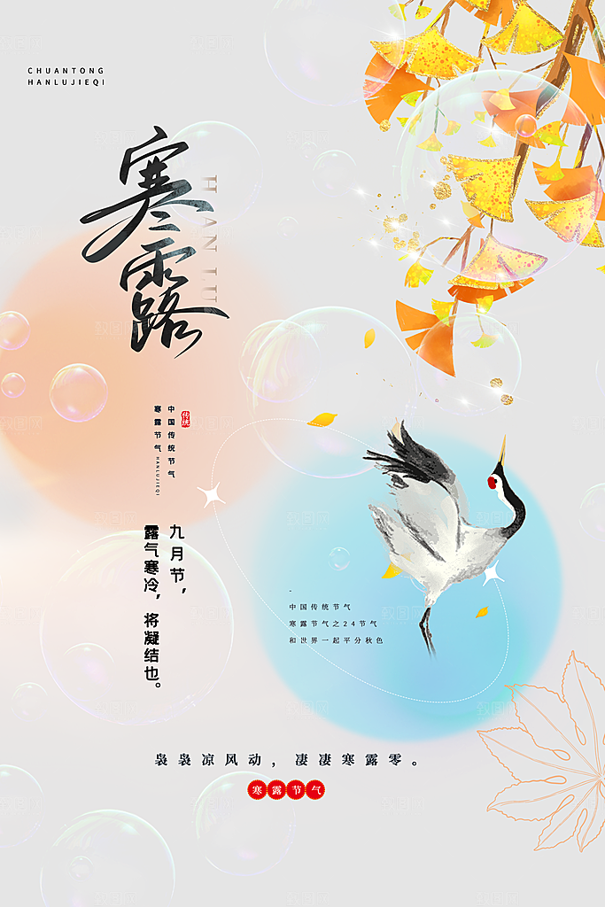 传统节气寒露海报模板