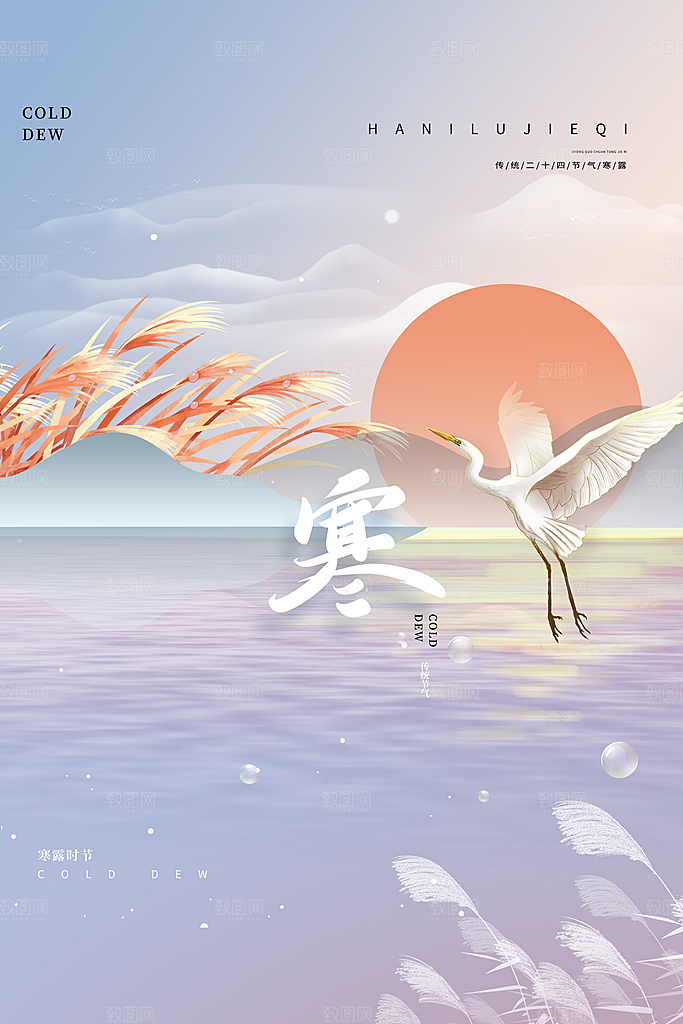 传统节气寒露海报模板