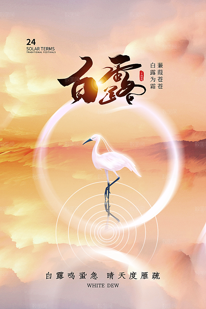 简约时尚白露24节气海报