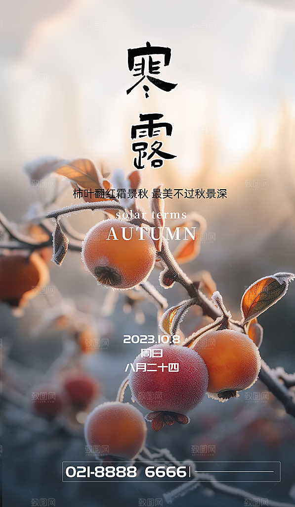 中国传统节日寒露二十四节气宣传海报