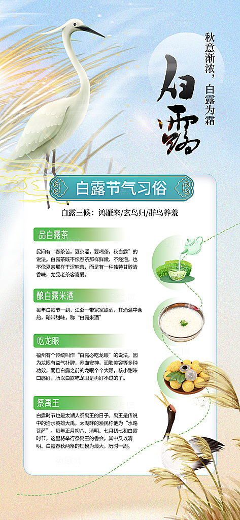 白露节气传统活动海报
