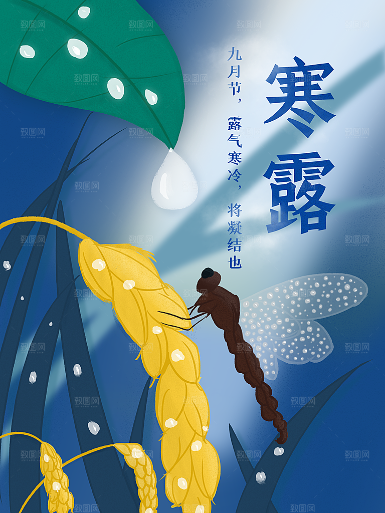简约大气寒露节气插画海报