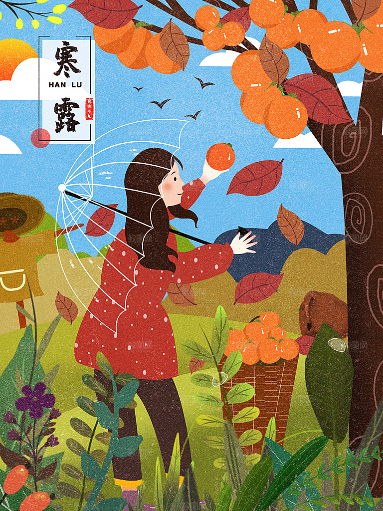 简约大气寒露节气插画海报
