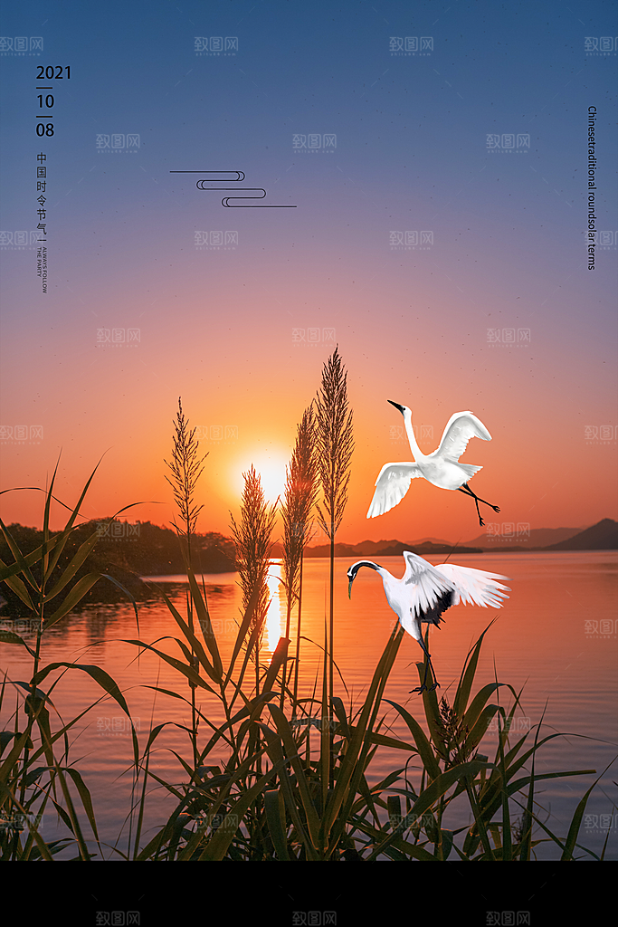 简约大气寒露节气海报