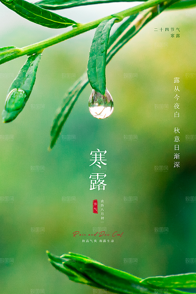 简约大气寒露节气海报