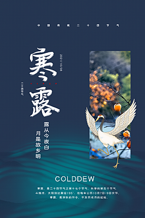简约大气寒露节气海报