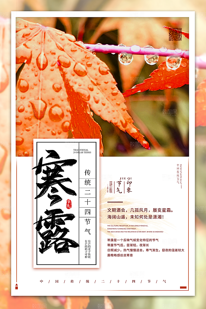 传统节气寒露海报模板