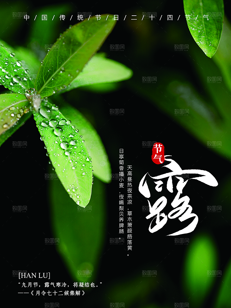 简约大气寒露节气海报