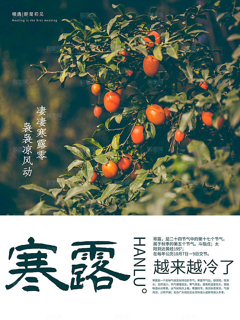 传统节气寒露海报模板