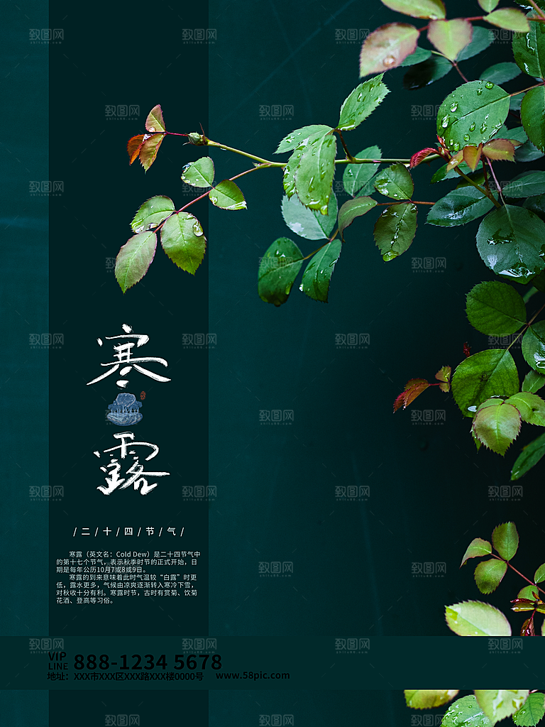 传统节气寒露海报模板