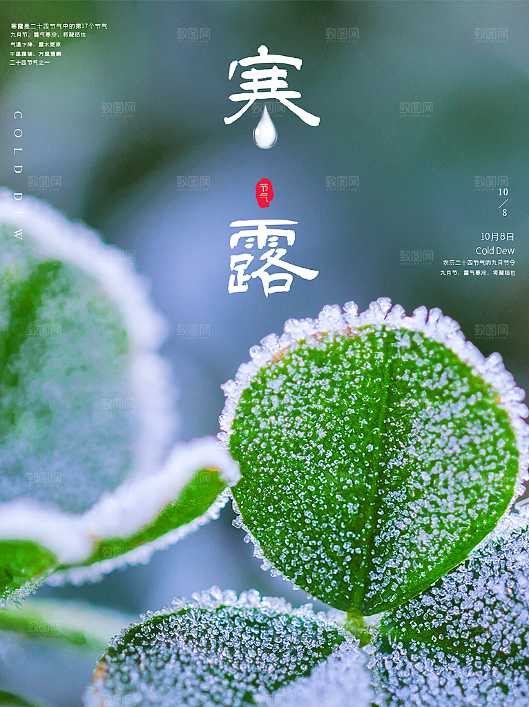 简约大气寒露节气海报