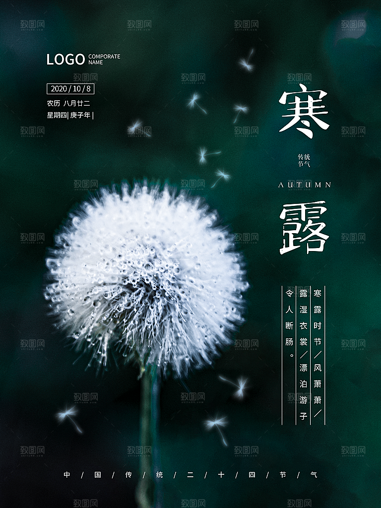 简约大气寒露节气海报