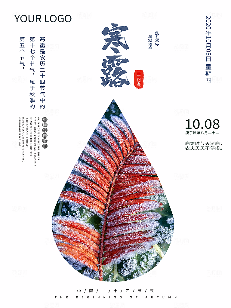 传统节气寒露海报模板