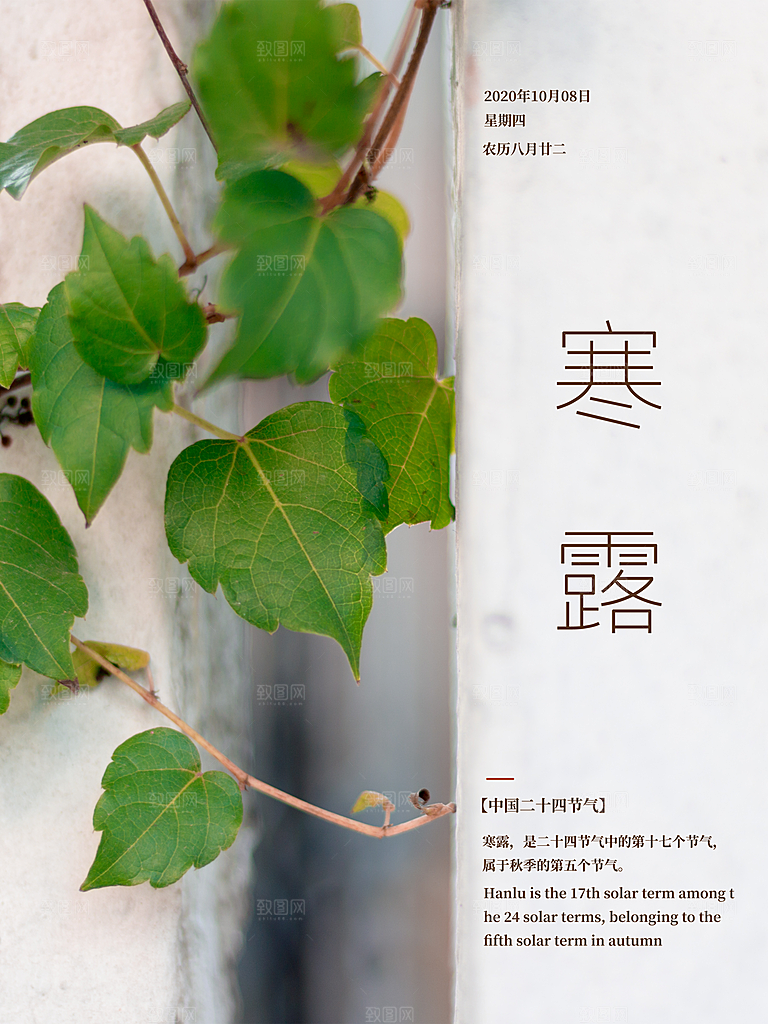 传统节气寒露海报模板