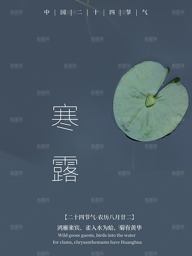 传统节气寒露海报模板