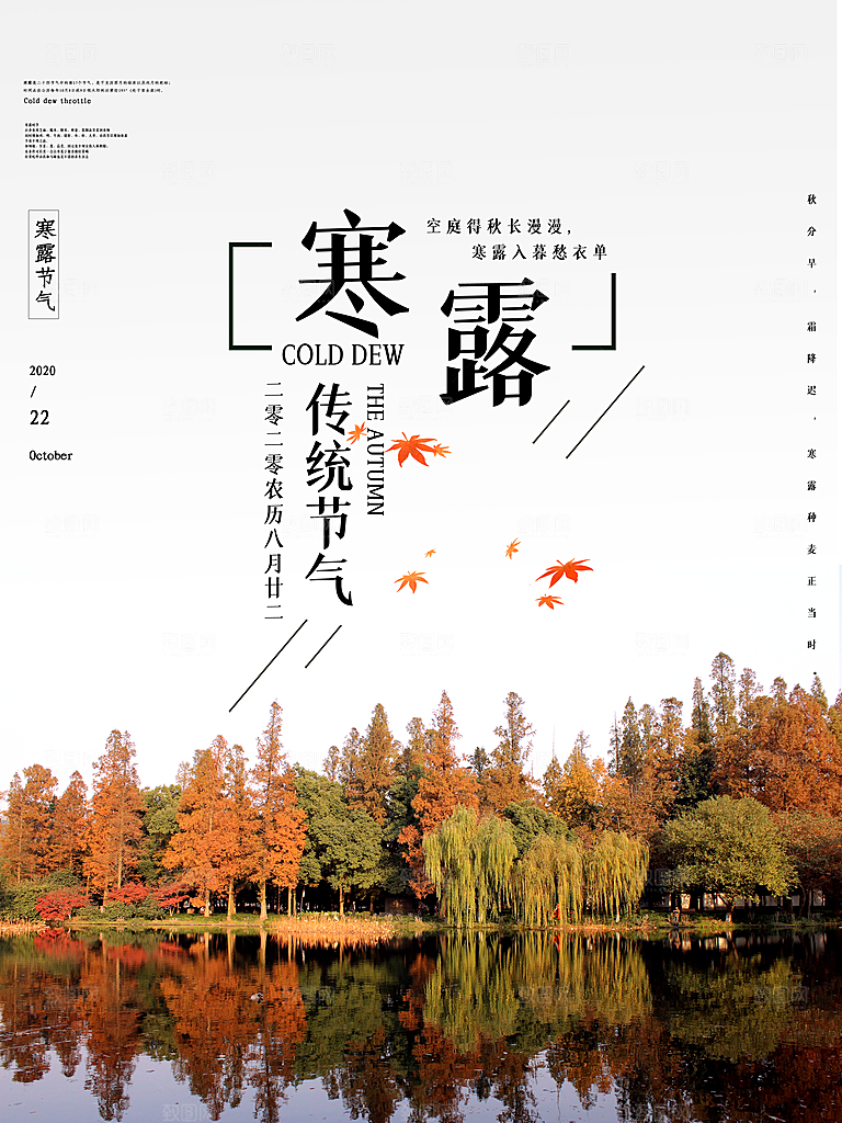 简约大气寒露节气海报