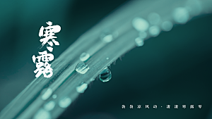 传统节气寒露海报模板