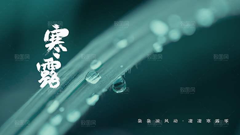 传统节气寒露海报模板