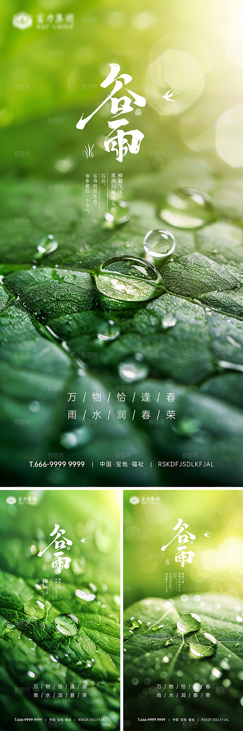 谷雨节气高级海报