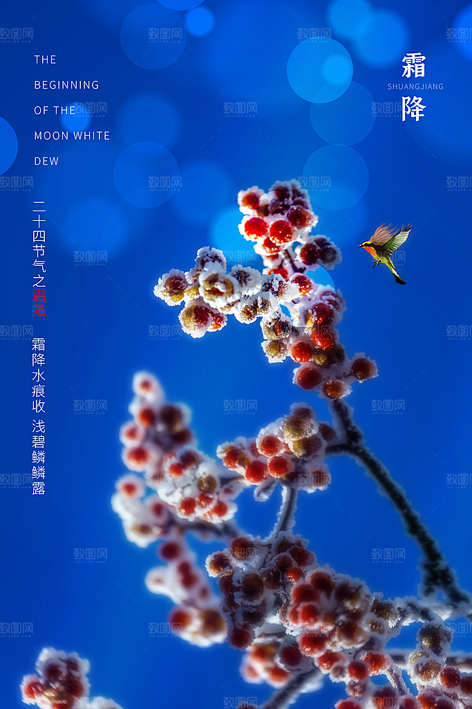 中国传统二十四节气霜降节气宣传海报