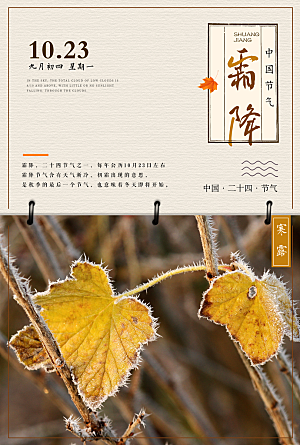 中国传统二十四节气霜降节气宣传海报
