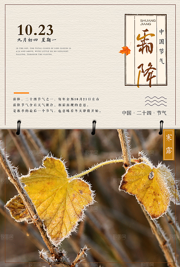 中国传统二十四节气霜降节气宣传海报