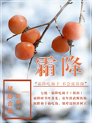 中国传统二十四节气霜降节气宣传海报