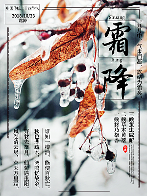 中国传统二十四节气霜降节气宣传海报