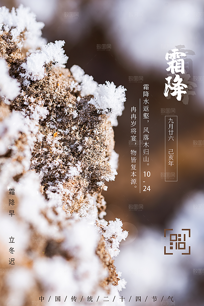 中国传统二十四节气霜降节气宣传海报