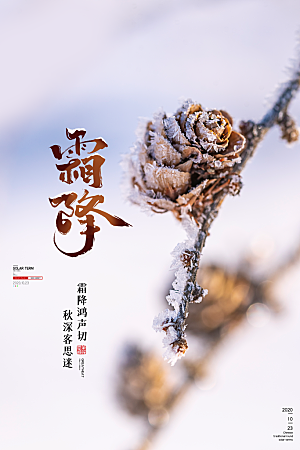 中国传统二十四节气霜降节气宣传海报