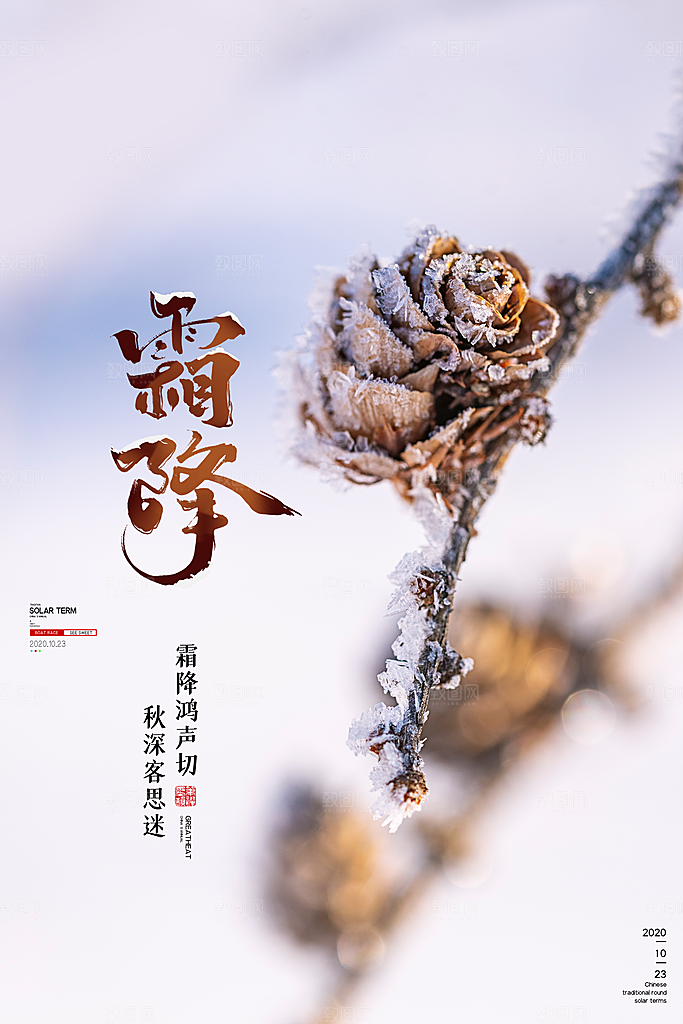 中国传统二十四节气霜降节气宣传海报