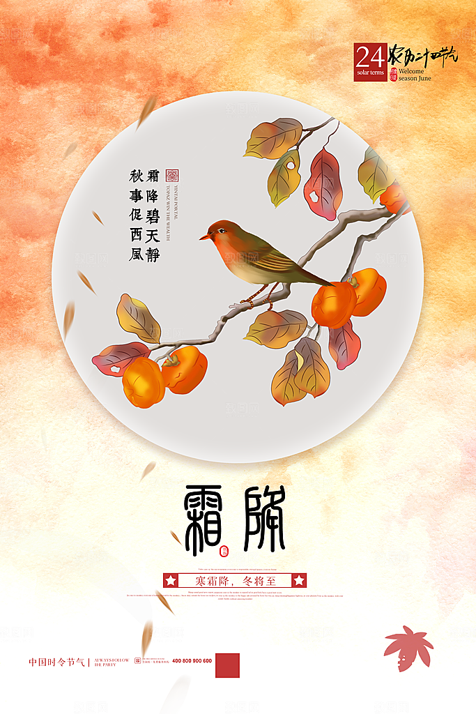 中国传统二十四节气霜降节气宣传海报