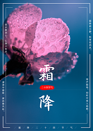 中国传统二十四节气霜降节气宣传海报