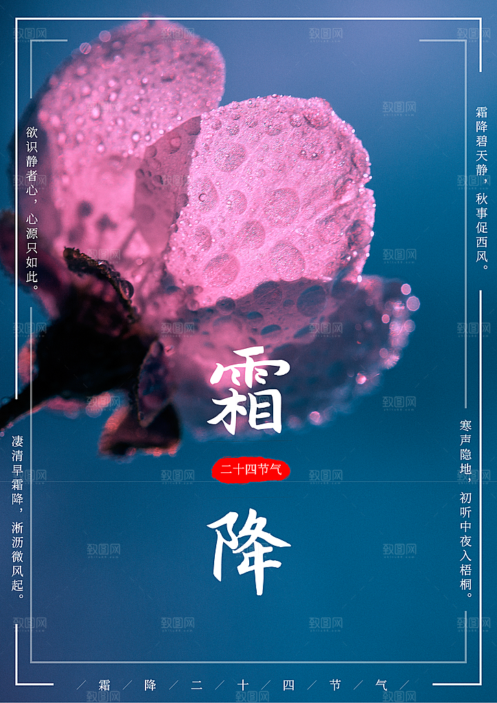 中国传统二十四节气霜降节气宣传海报