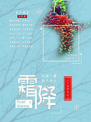 中国传统二十四节气霜降节气宣传海报