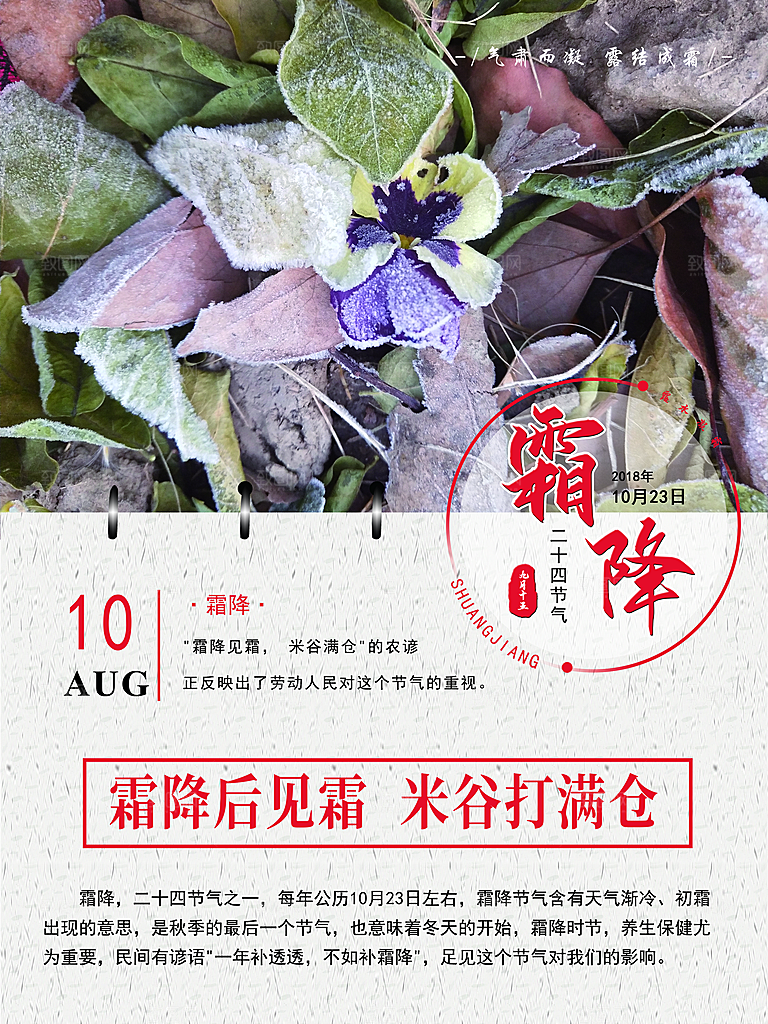 中国传统二十四节气霜降节气宣传海报