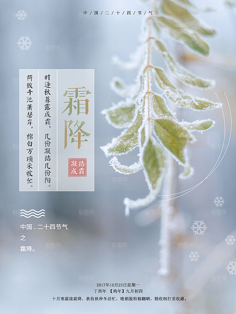 中国传统二十四节气霜降节气宣传海报