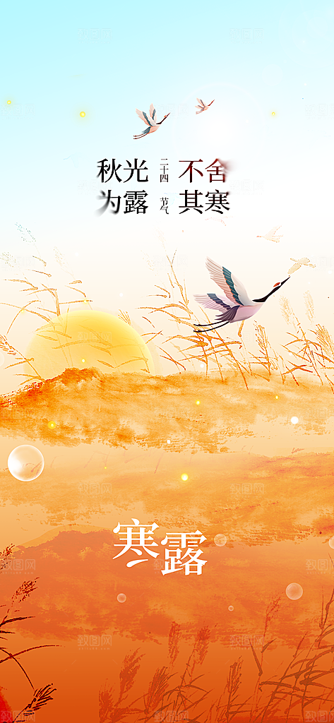 寒露节气传统活动海报