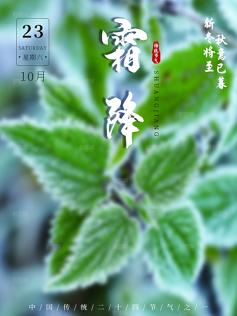 中国传统二十四节气霜降h5手机海报