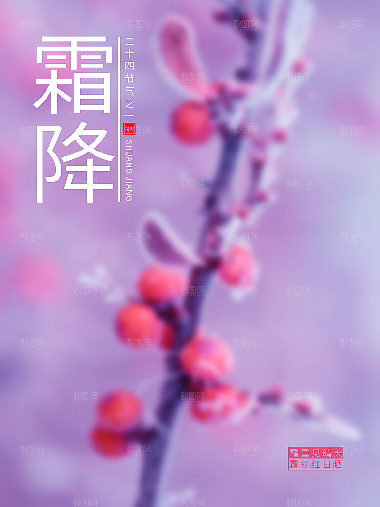 中国传统二十四节气霜降h5手机海报