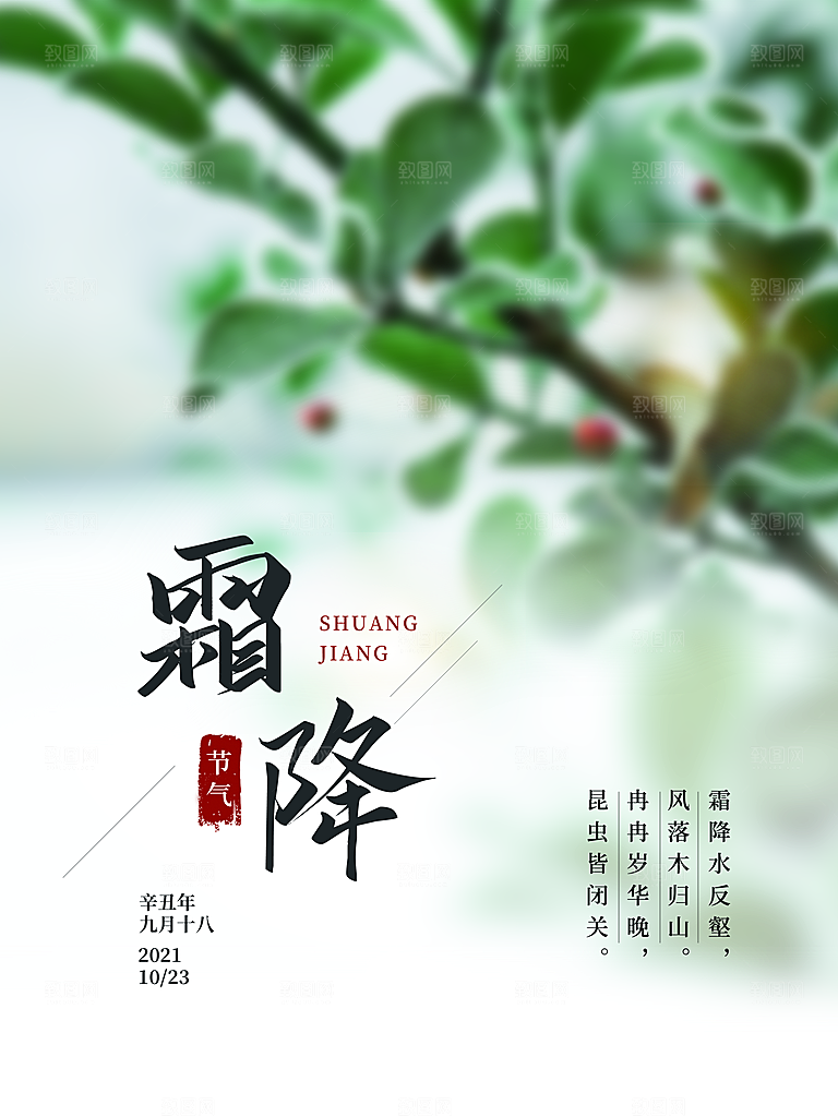 中国传统二十四节气霜降h5手机海报