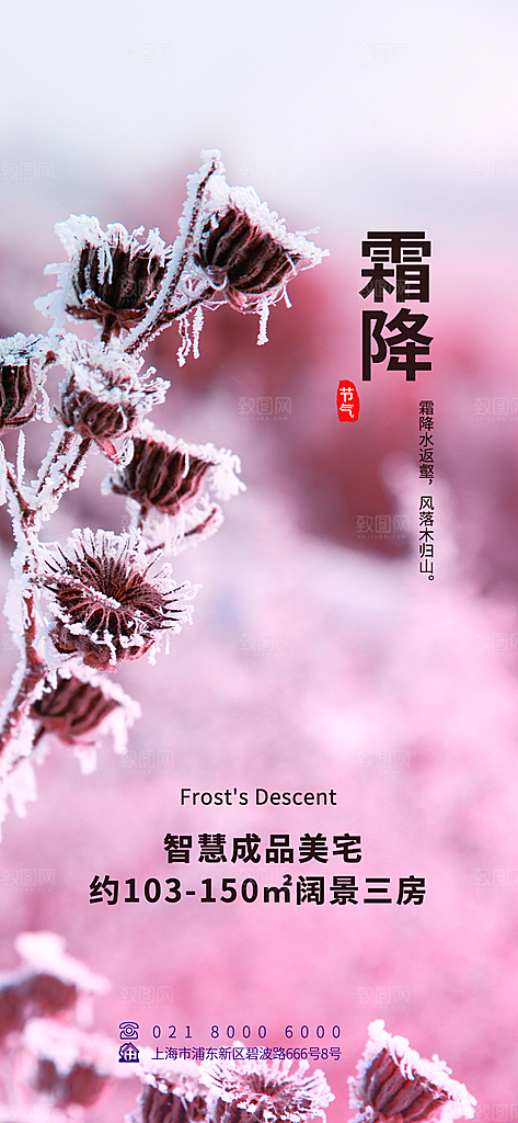 中国传统二十四节气霜降h5手机海报