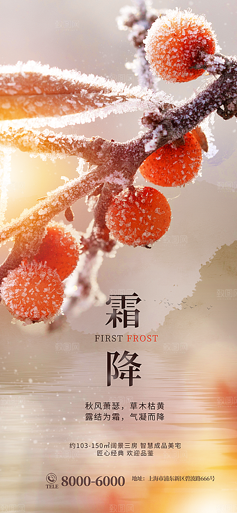 中国传统二十四节气霜降h5手机海报