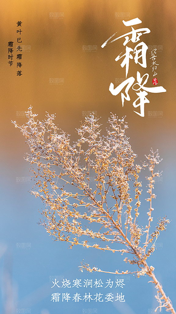 中国传统二十四节气霜降h5手机海报