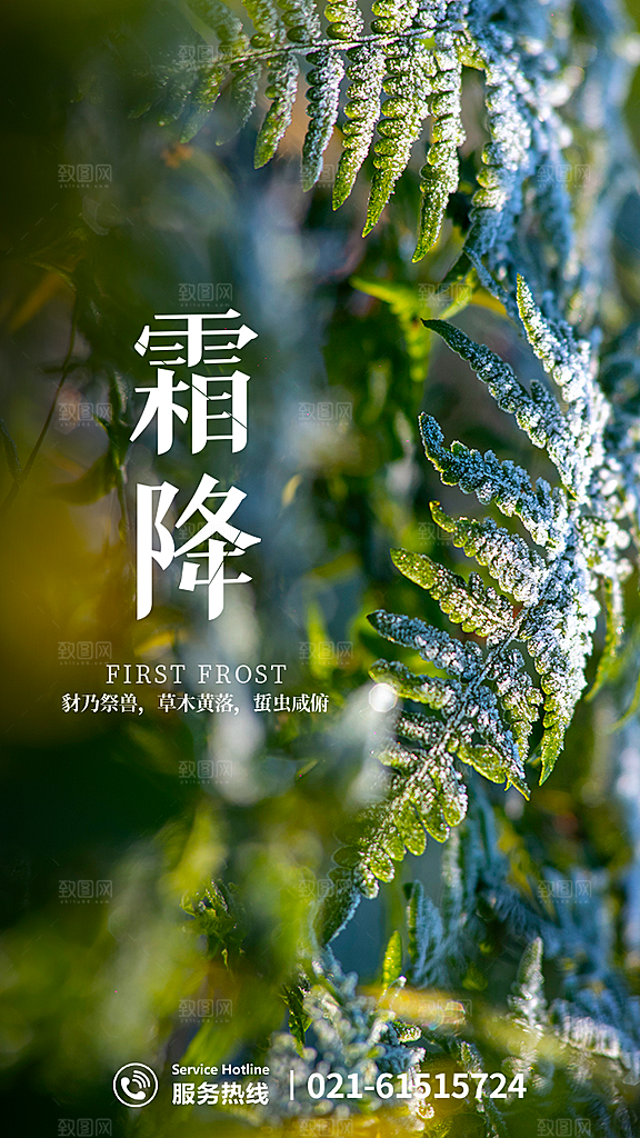 中国传统二十四节气霜降h5手机海报