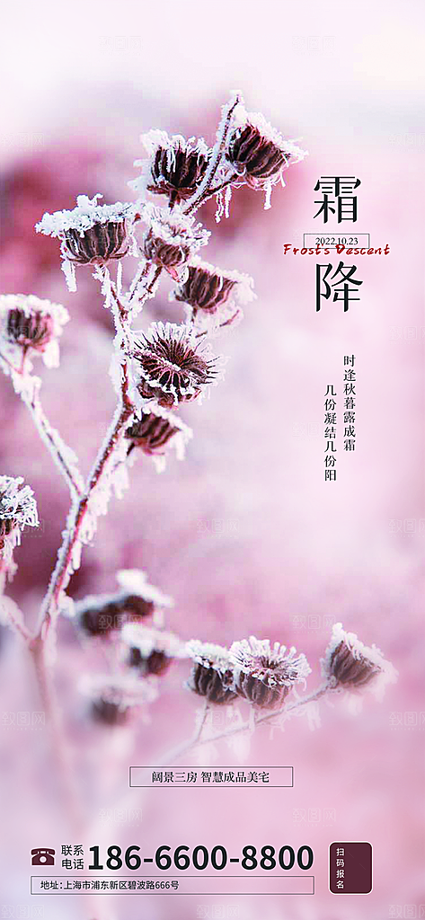中国传统二十四节气霜降h5手机海报